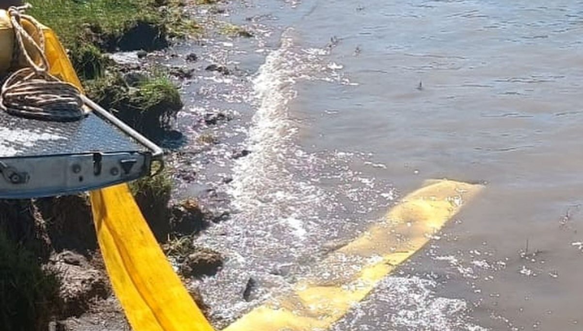 goletlere yavru baliklar birakildi VZ3pkWIW