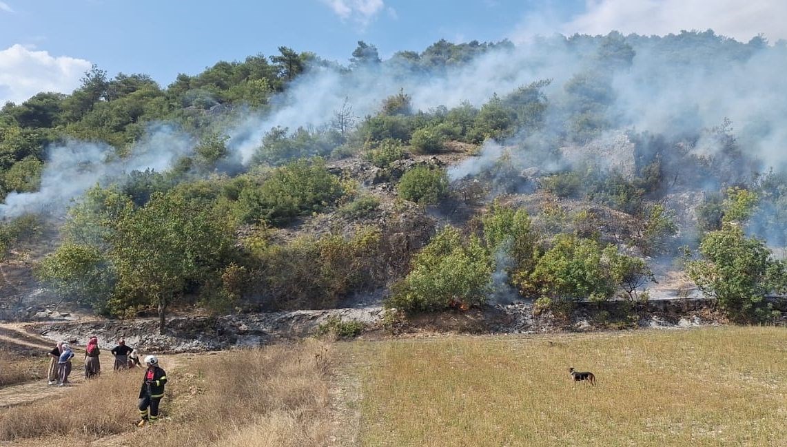 tokatta orman yangini f3Xhujwv