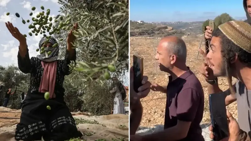 isgalci israilliler filistinlilere saldirdi zeytin agaclarini atese verdiler iQeL6Q5d.webp
