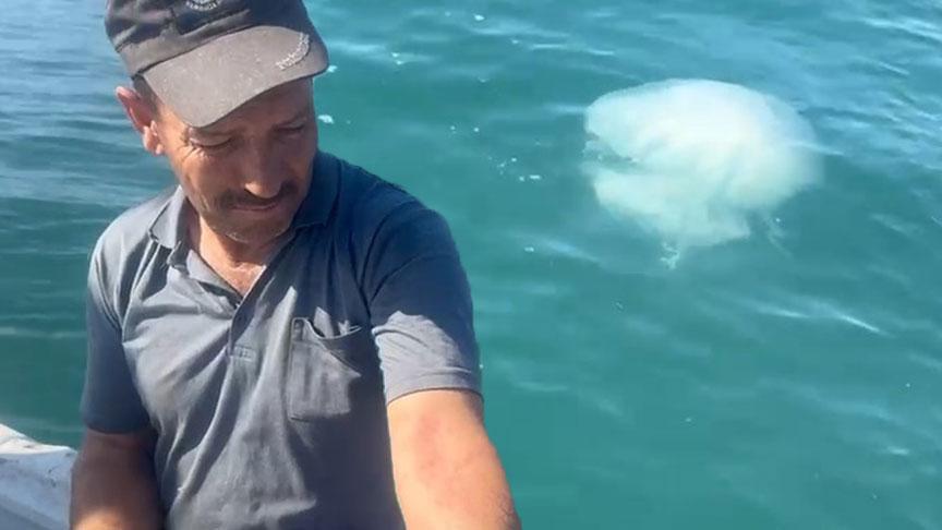 korkutan uyari geldi zehirli kesinlikle temas etmeyin flvuaPkg.jpg