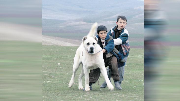 sivas ucretsiz erisime acildi KvGRFW5A.jpg