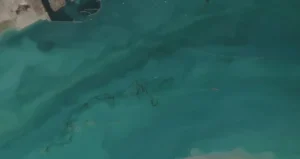 basra-korfezinde-petrol-sizintisi-alarmi-acil-durum-uyarisi-pPHZHzJ1