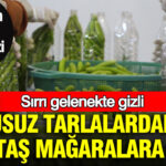 Haber gorseli