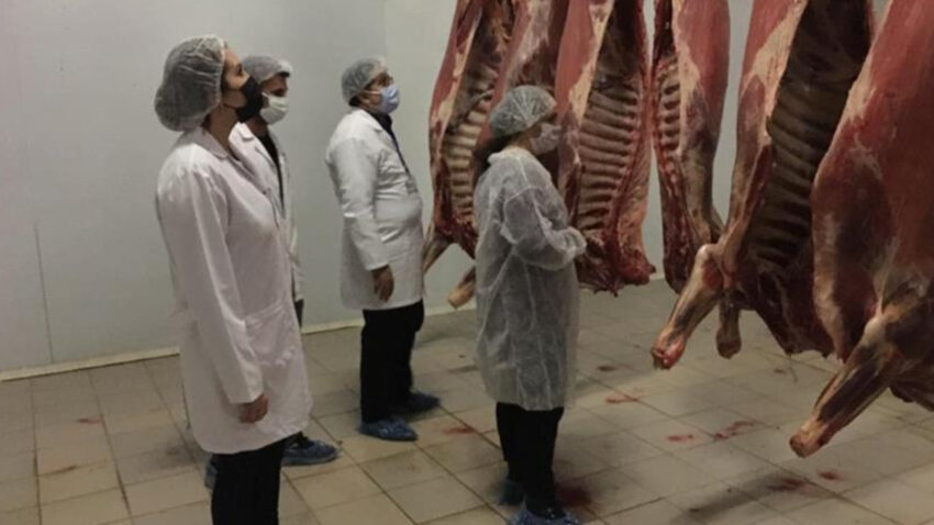 Kesimhanelere 24 saat kamera kaydi sarti yeni yonetmelik resmi gazetede yayimlandi 9ITaL2O8